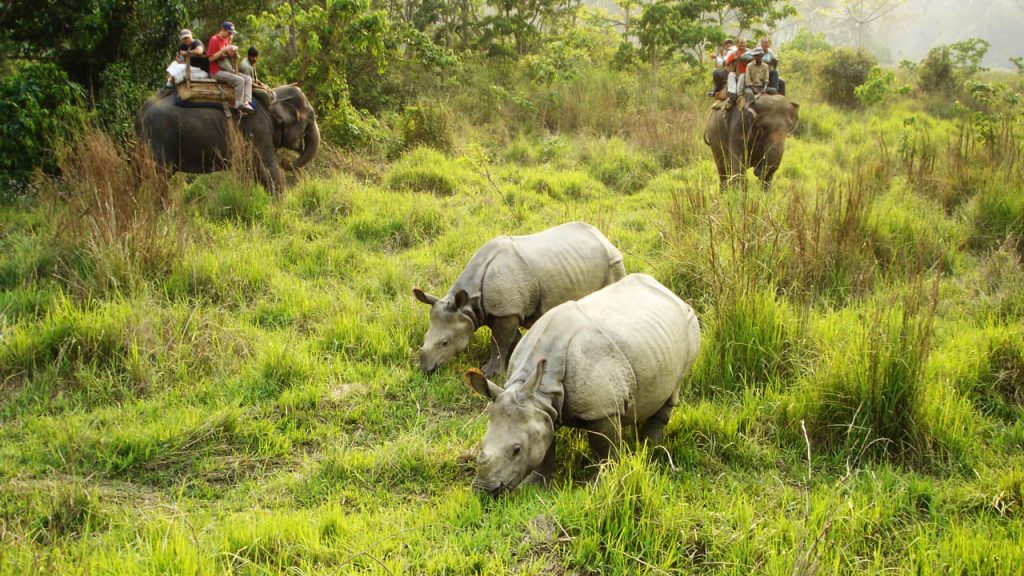 Bardia National Park