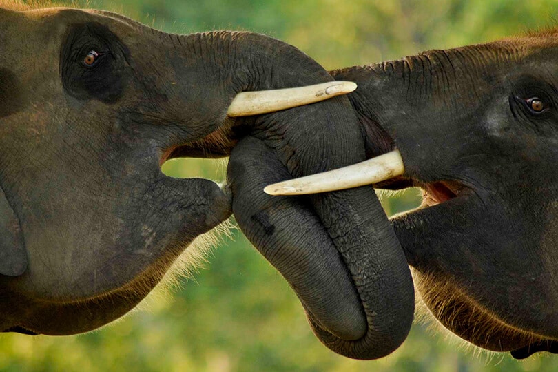 Pictures Luring You Into Nepal