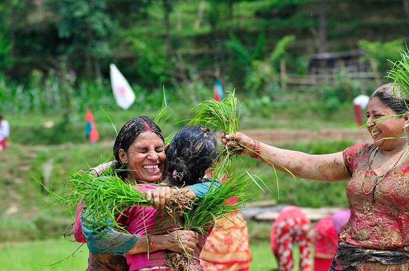 Picture of Rice Planting Festival of Nepal