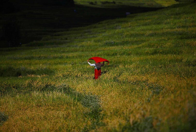 Pictures Luring You Into Nepal